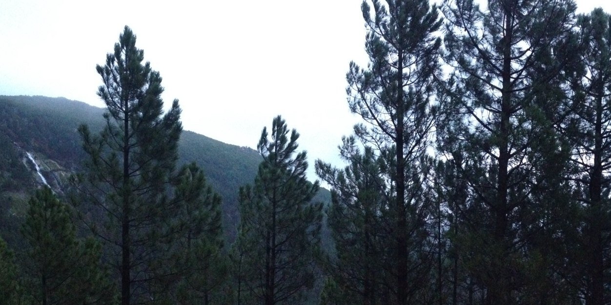 sofiabienes's profile banner image