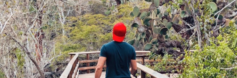 heviz_g's profile banner image