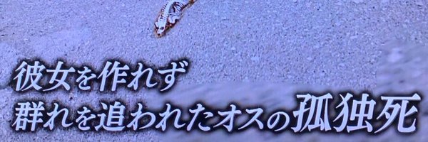 crom906 Profile Banner