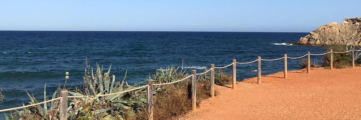 David Fitzgerald banner