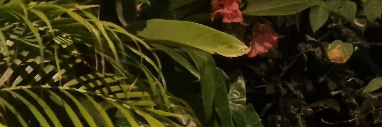 AtinukeJ's banner