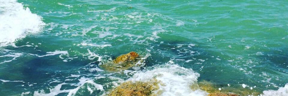 Hoosier Daddy banner