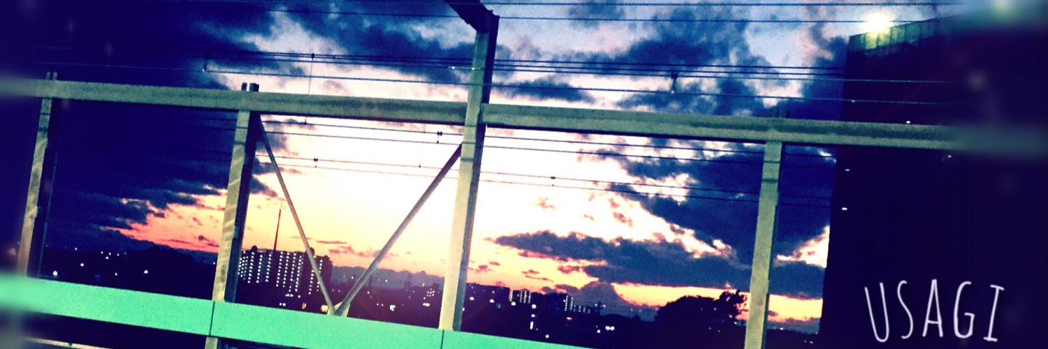 usa33_pyon's profile banner image