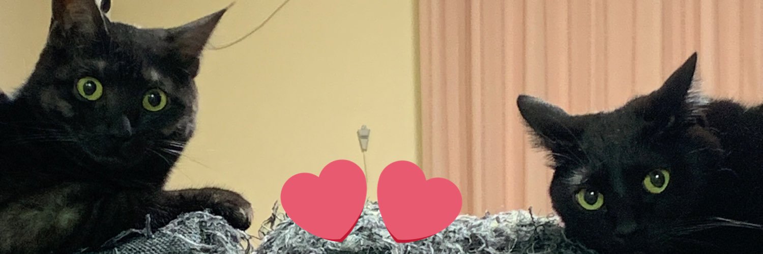 ttamakeeey's profile banner image