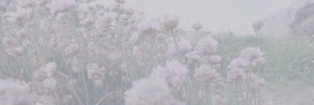 RPGMT's profile banner image