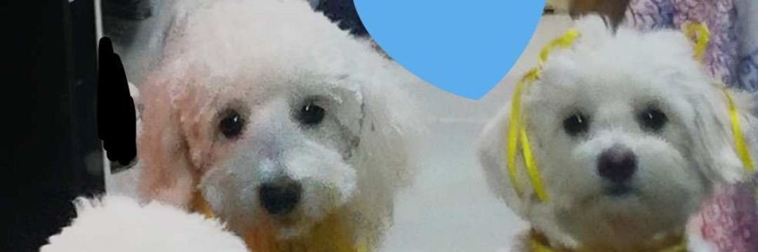 gizetobar's profile banner image