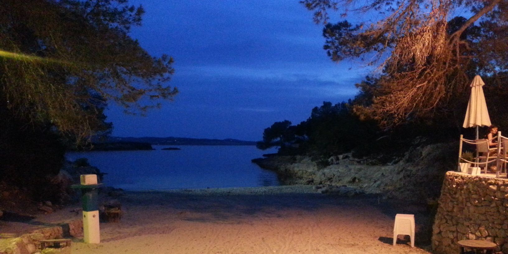 Danielle Roper banner