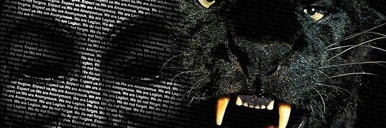 AnonymousDAE's profile banner image