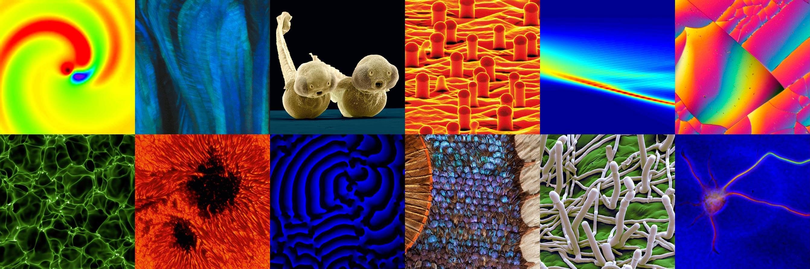 MaxPlanck_ES's profile banner image
