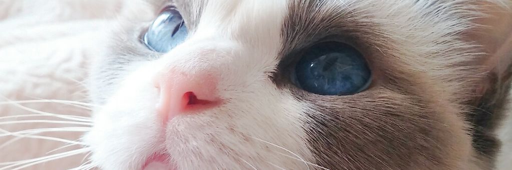 dbstmfzhd's profile banner image