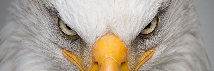 HanokJacob's profile banner image