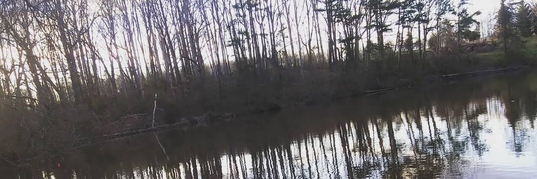 BaileyMiller33's profile banner image