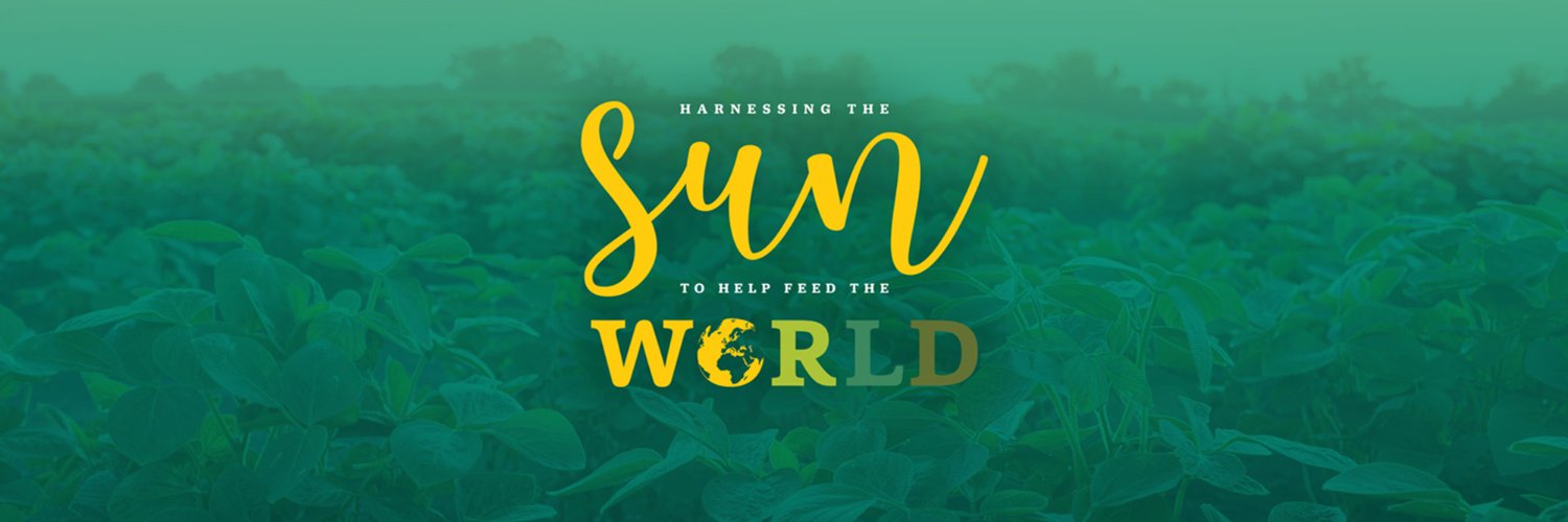 The RIPE Project's banner