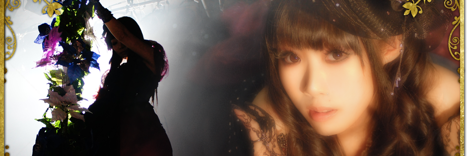 c10109's profile banner image