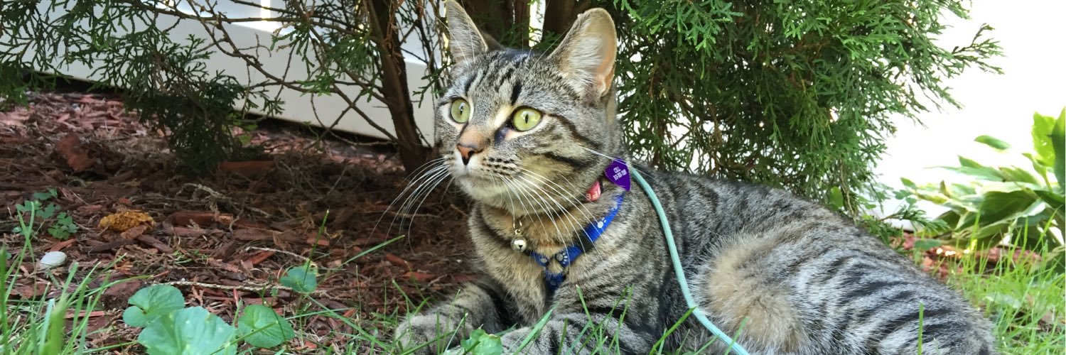 Jerome M. Zilincik banner