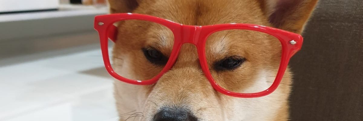 EactEdmund's profile banner image