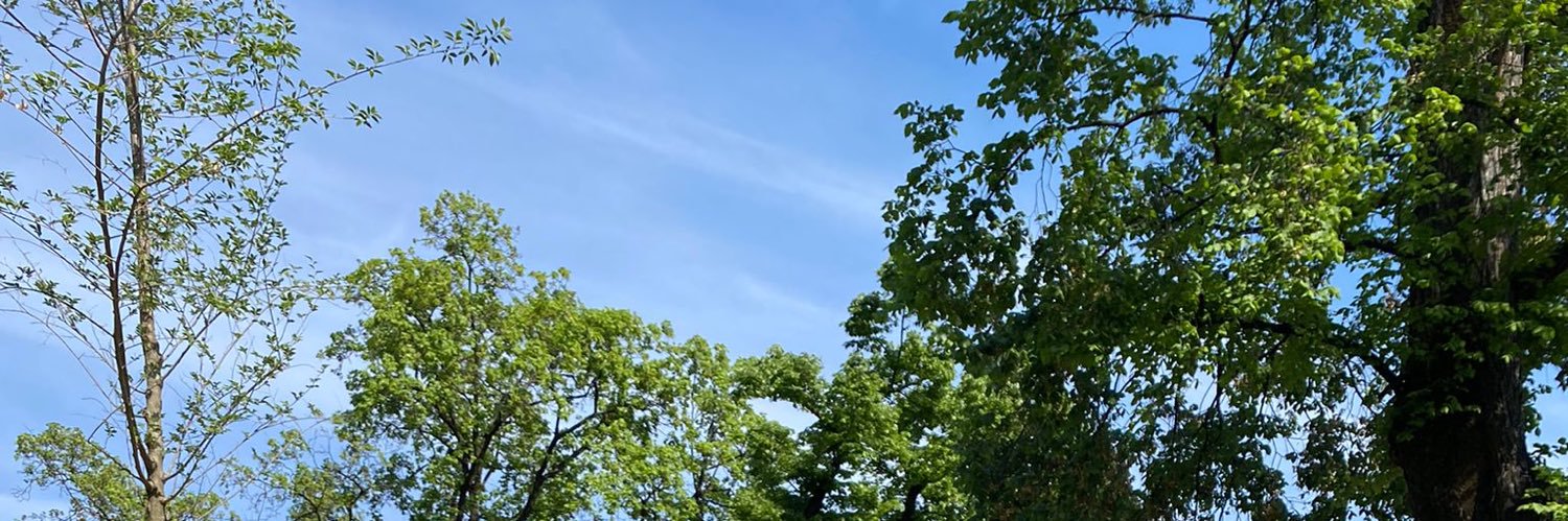 marie_ar's profile banner image
