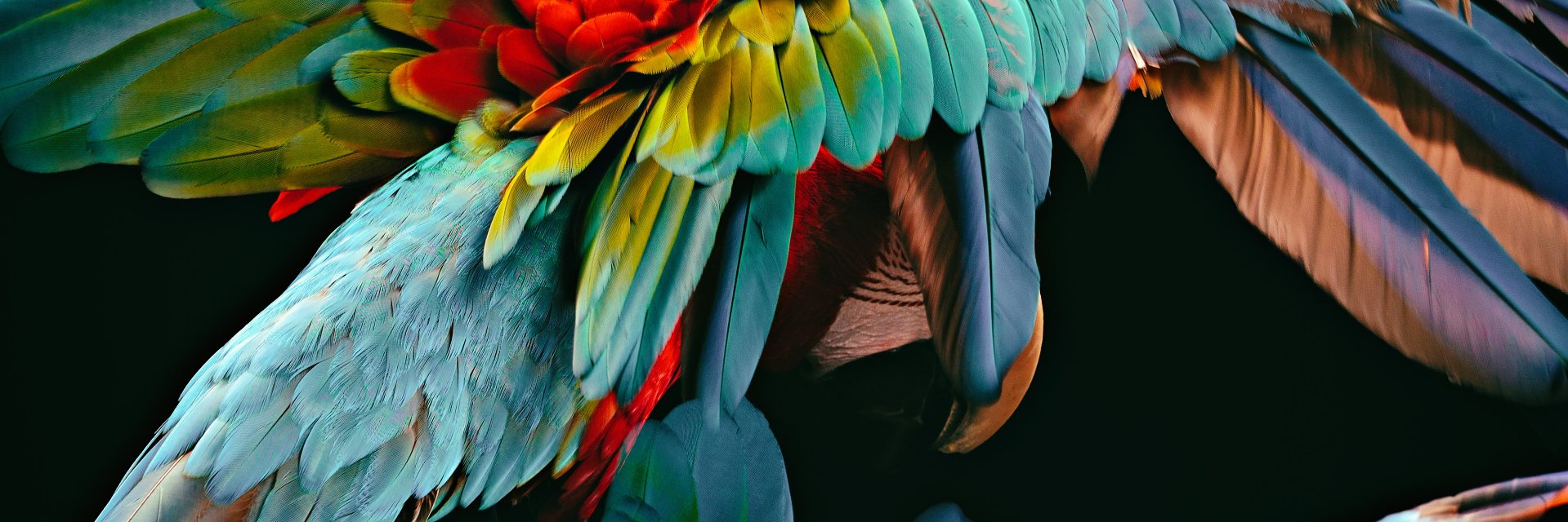 outstandingweb's profile banner image