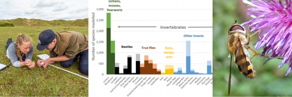 ___BRC___ Profile Banner