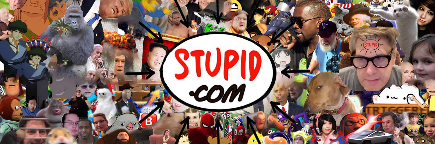 Stupid 🚫🧠 banner