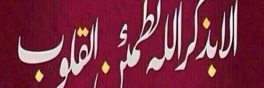 nahedmostafa21's profile banner image