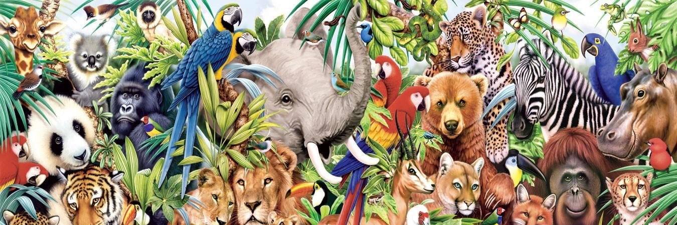 AnonsForAnimals's profile banner image