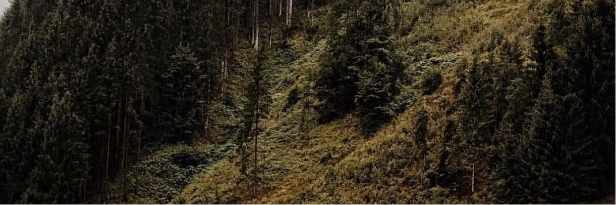VanishToday's profile banner image