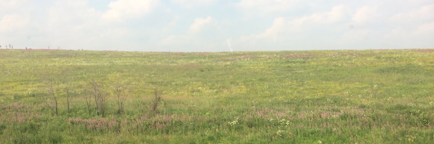 五戸真理枝 Gonohe Marie banner