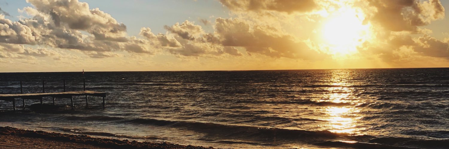 catherinesaidit's profile banner image
