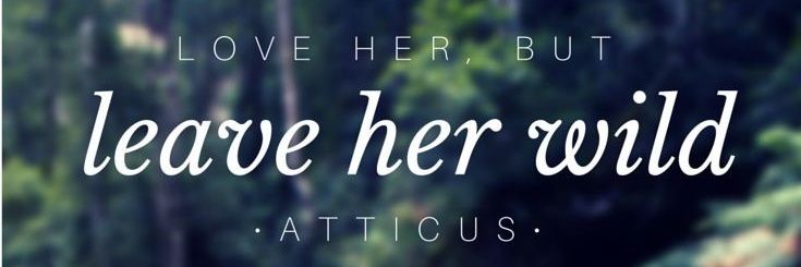 shellbelle1022's profile banner image