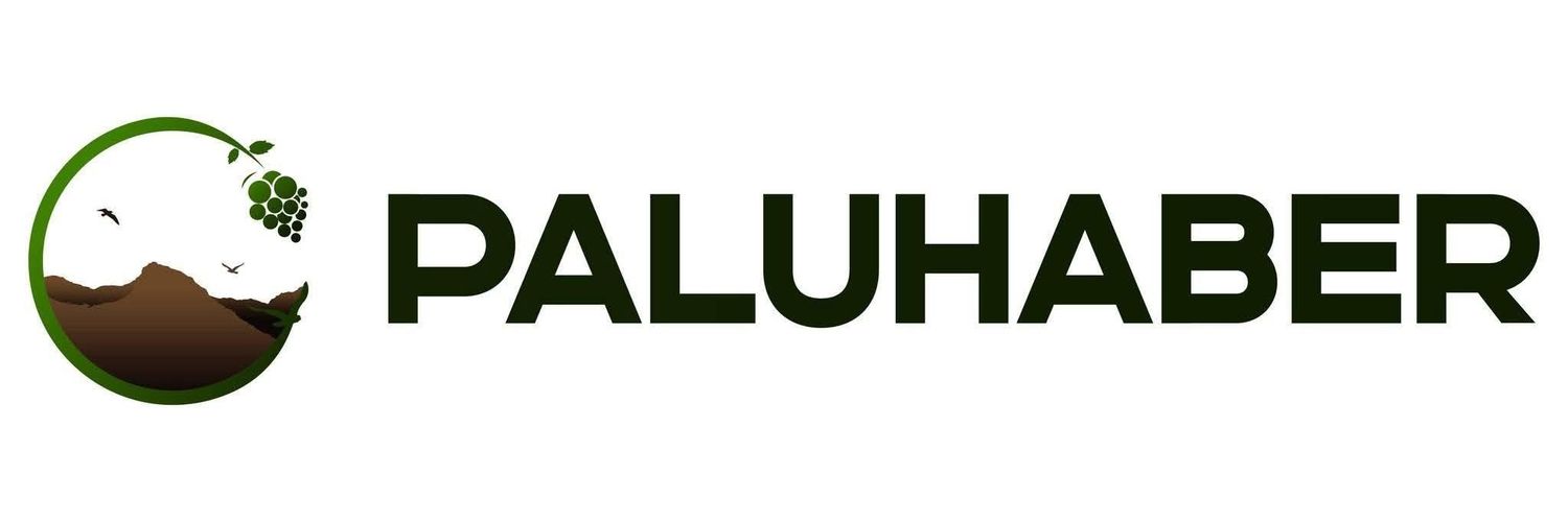 paluhbr's profile banner image