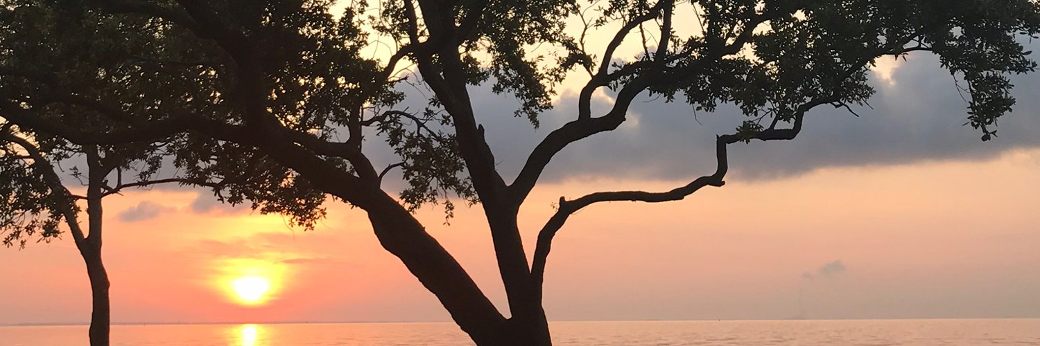 paulheels's profile banner image