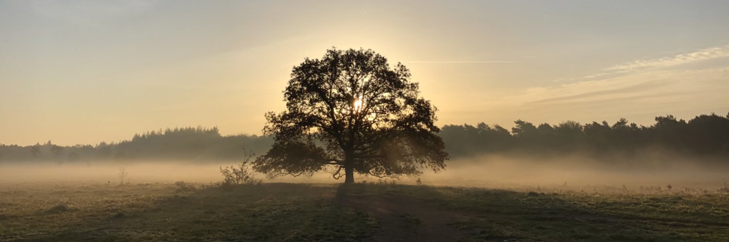 JCDuijvendak's profile banner image