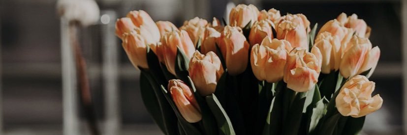 diny_dineo's profile banner image