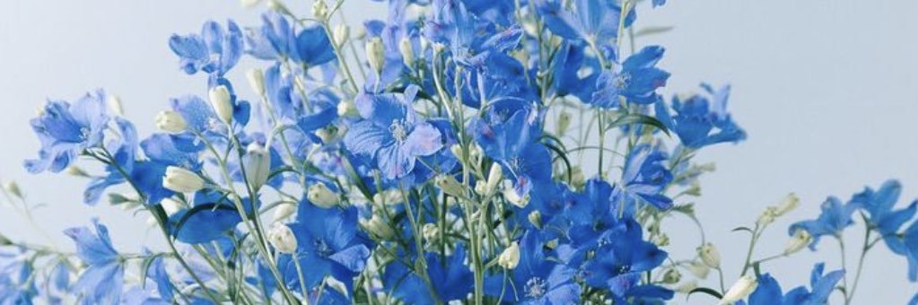 yu_____mch's profile banner image