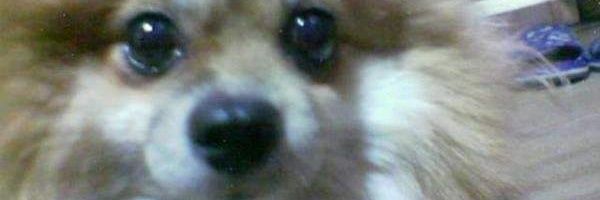 yoursistershand's profile banner image