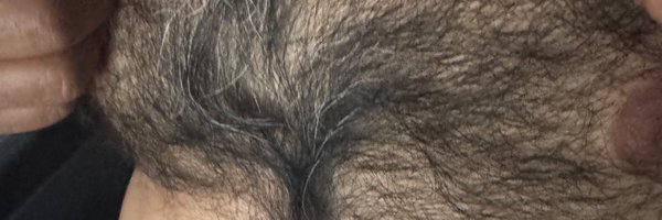 maximotorrex Profile Banner