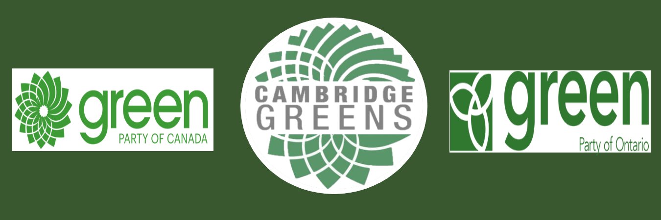 CBridgeGreens's profile banner image