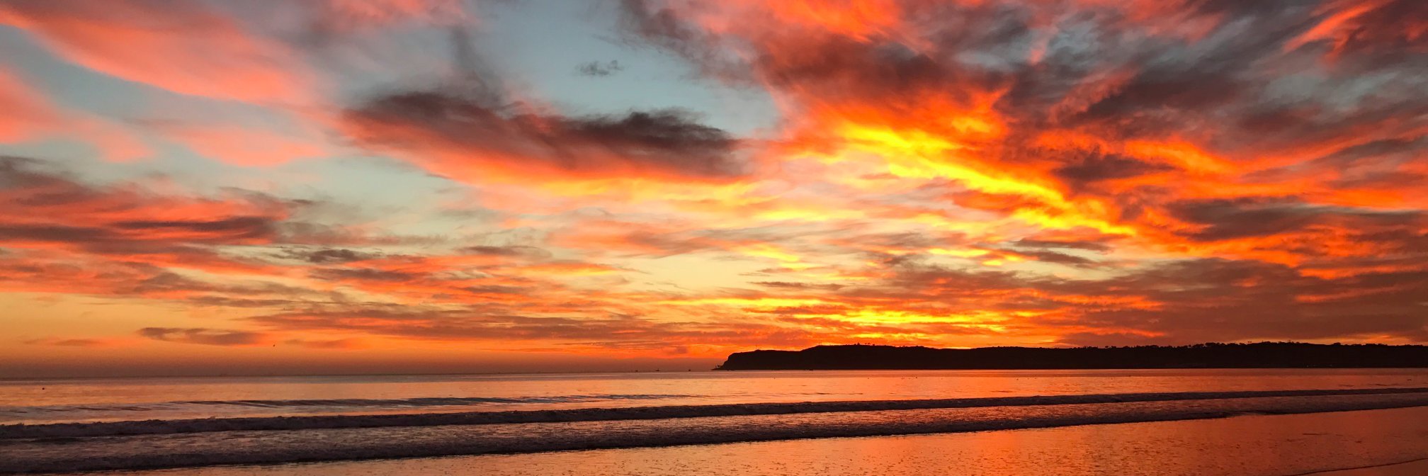 CourtneyNerd's profile banner image
