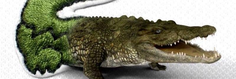 relikia do mano banner