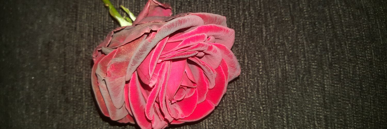 rashamawed's profile banner image