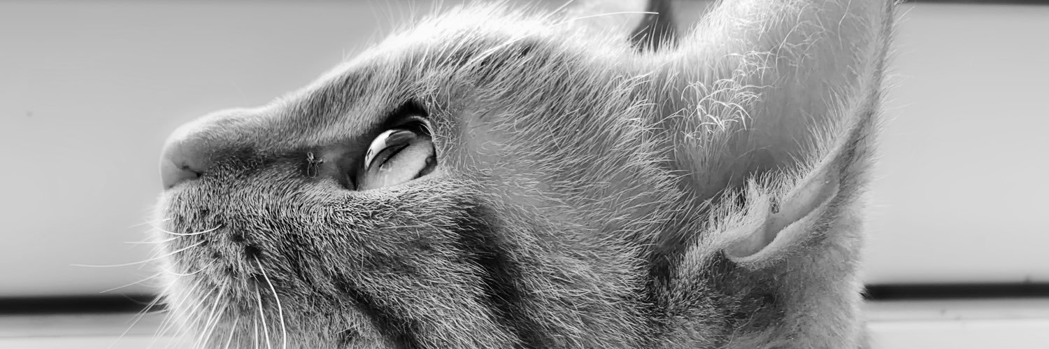 NuttenLudovic's profile banner image