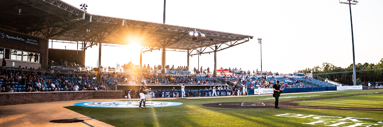 Holly Springs Salamanders banner