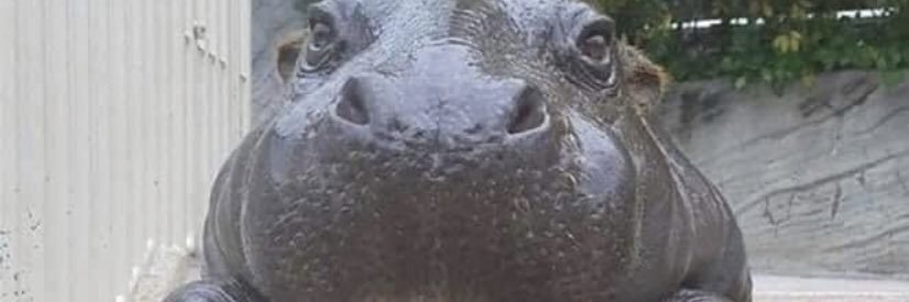GiladSeckler's profile banner image