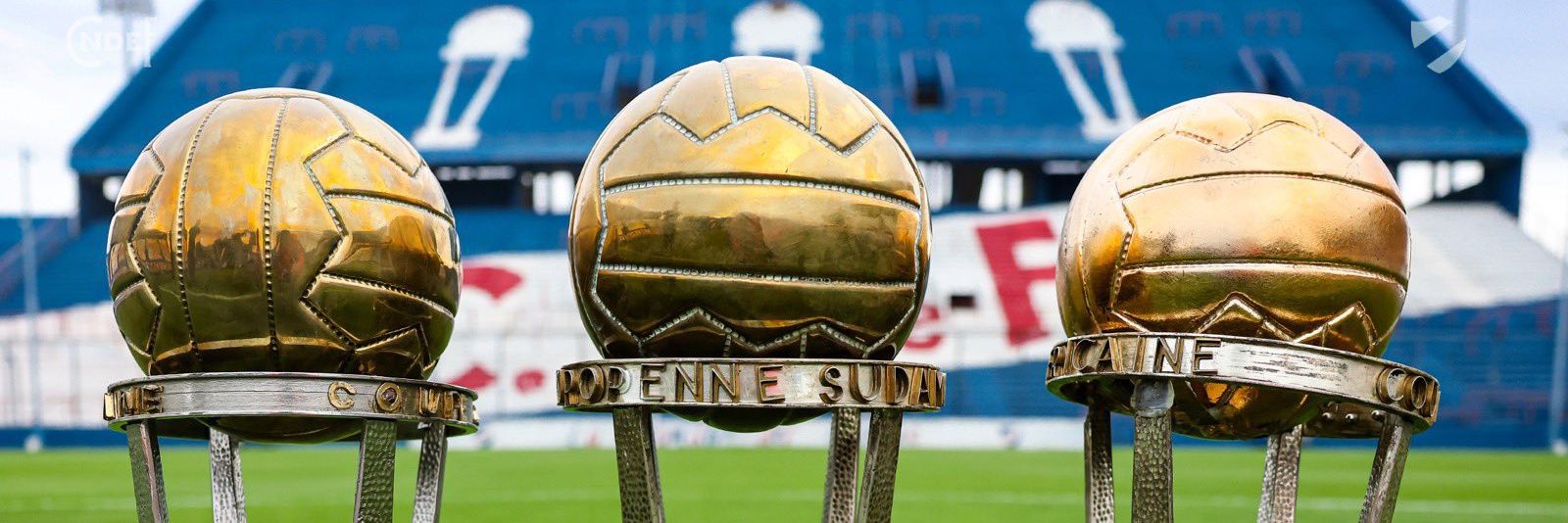 Federico 🇳🇱 banner