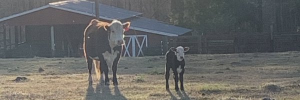 jpounds19 Profile Banner