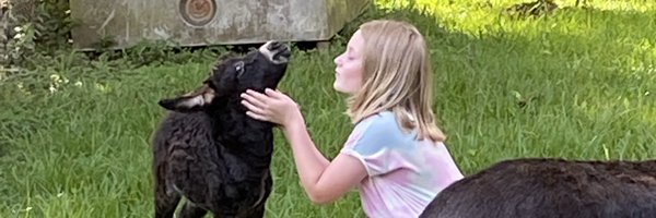 tyesands42 Profile Banner