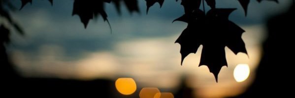 BertoAC's profile banner image