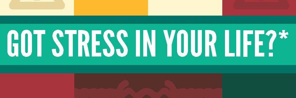 HahdStressStudy's profile banner image