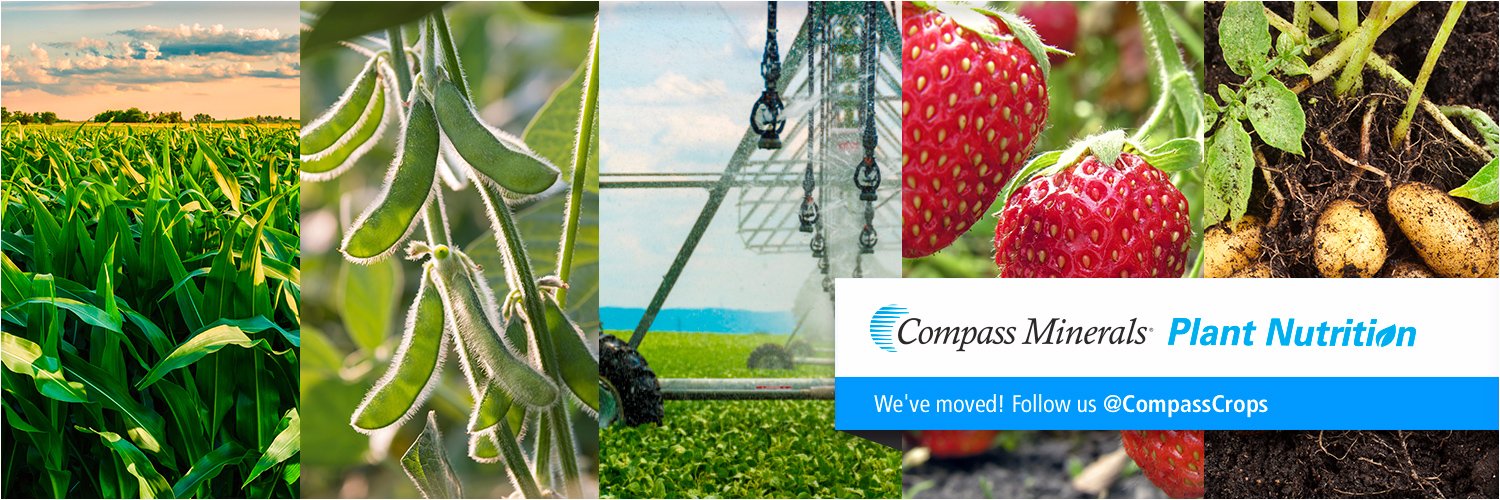 NuTraxP's profile banner image